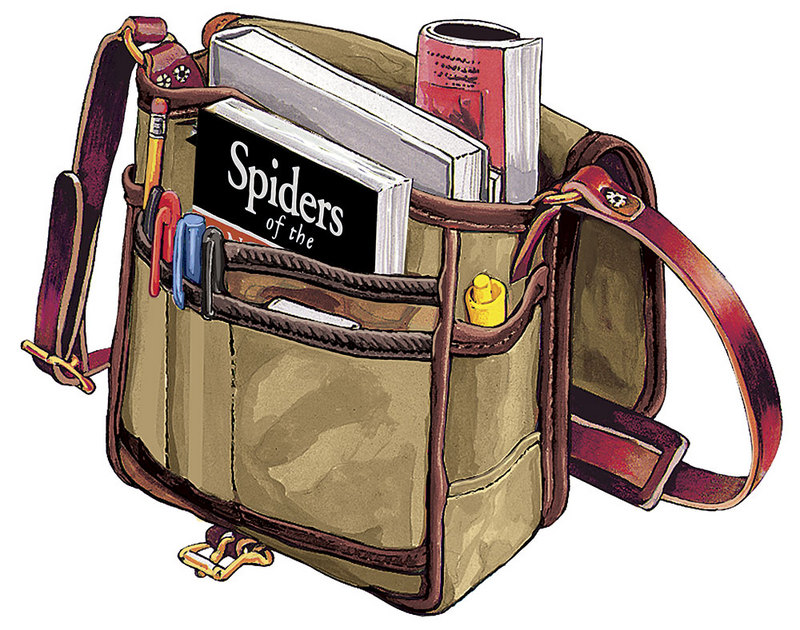 Peony Red Laptop Backpack – Bags Field & Taska bags
