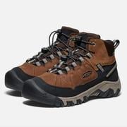 Big Kids' Targhee IV Waterproof Hiking Boot