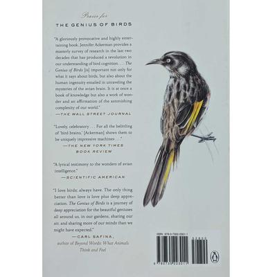 the bird way by jennifer ackerman